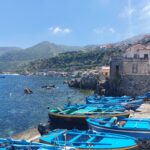 Scilla Scilla